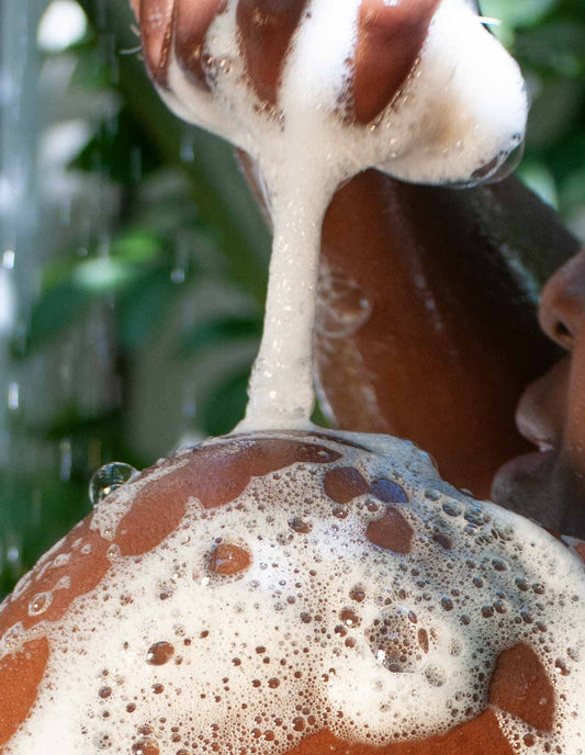 HIGHLAND WHISPER BODY LOTION